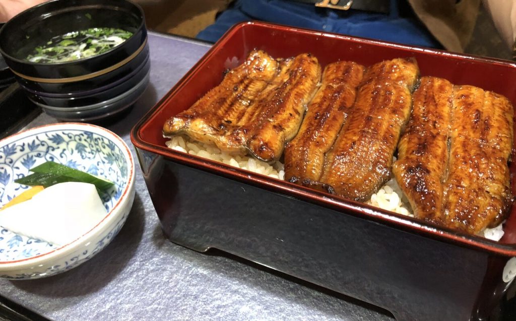 Japanese Grilled Eel Dish